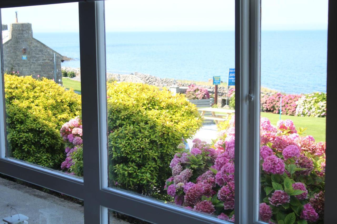 Villa Dolphin Watch Wild Atlantic Way Fanore Esterno foto